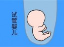 郑州代怀孕初期孕酮值为13ngml，医生说偏低，那正常值是多